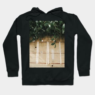 Indian Fig Cacti Hoodie